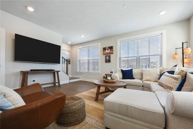 living room featuring hardwood / wood-style flooring