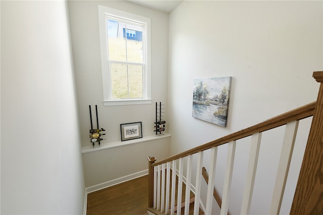 staircase with a wealth of natural light and hardwood / wood-style flooring