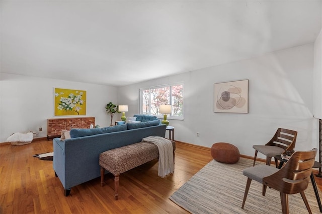 living room with wood-type flooring