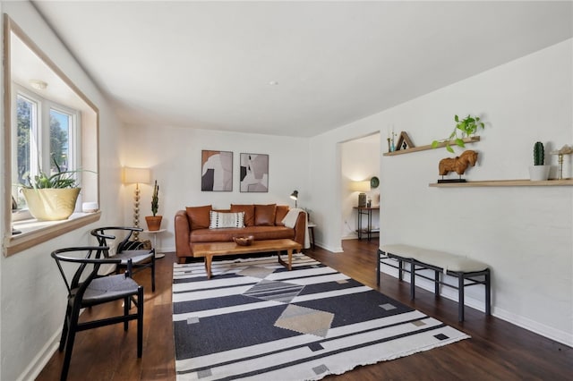 living room with dark wood-type flooring