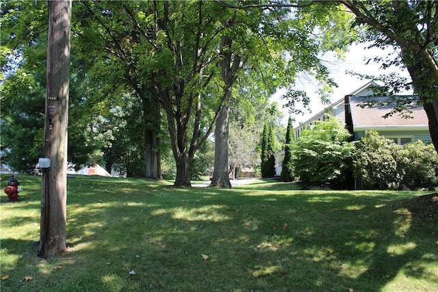 629 Euclid Ave, Grove City Boro, PA 16127 - view of green lawn
