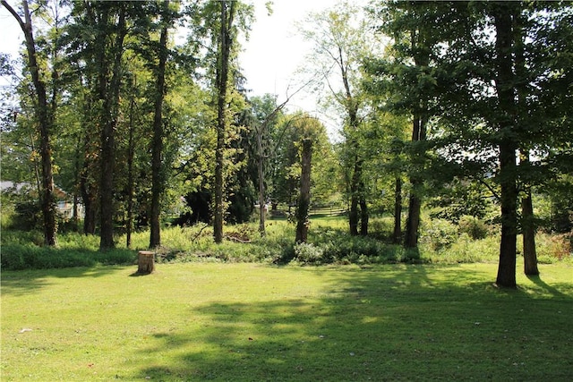629 Euclid Ave, Grove City Boro, PA 16127 - view of grassy yard