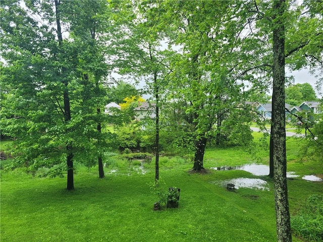 629 Euclid Ave, Grove City Boro, PA 16127 - view of green lawn