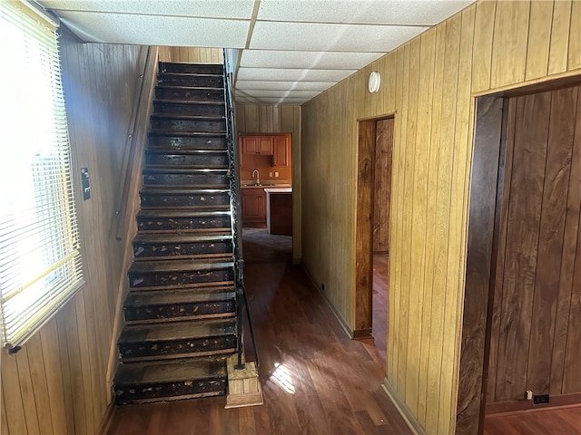 stairway with a paneled ceiling, wood walls, hardwood / wood-style floors, and sink