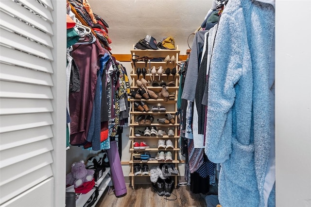 spacious closet featuring wood-type flooring