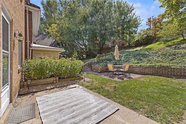 view of yard featuring a patio