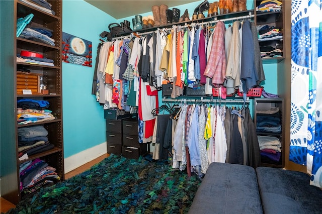 view of spacious closet