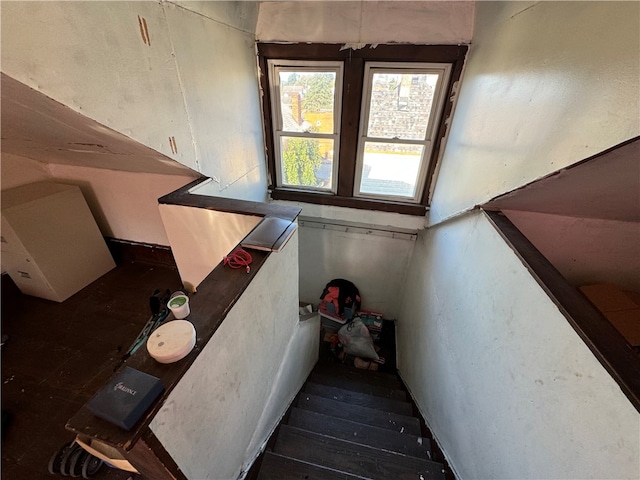 stairway featuring wood-type flooring