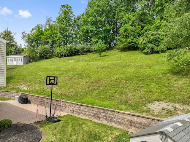 view of yard featuring a patio