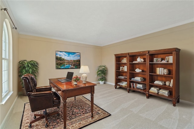 home office with crown molding and carpet floors