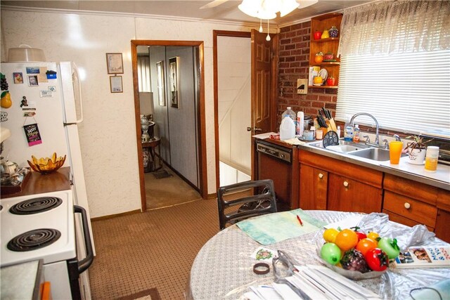 kitchen featuring crown molding, white appliances, sink, ceiling fan, and light colored carpet