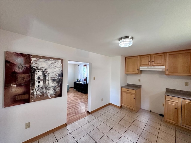 kitchen with light hardwood / wood-style floors