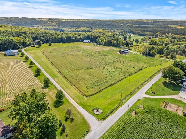 birds eye view of property featuring a rural view