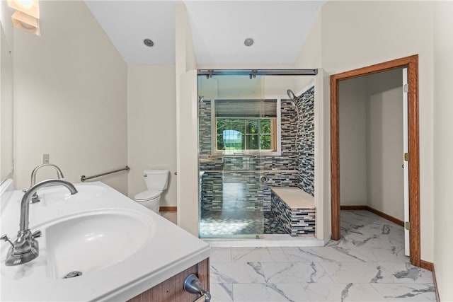 bathroom with vanity, toilet, and an enclosed shower