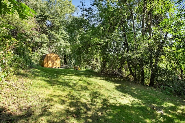 view of yard with a shed