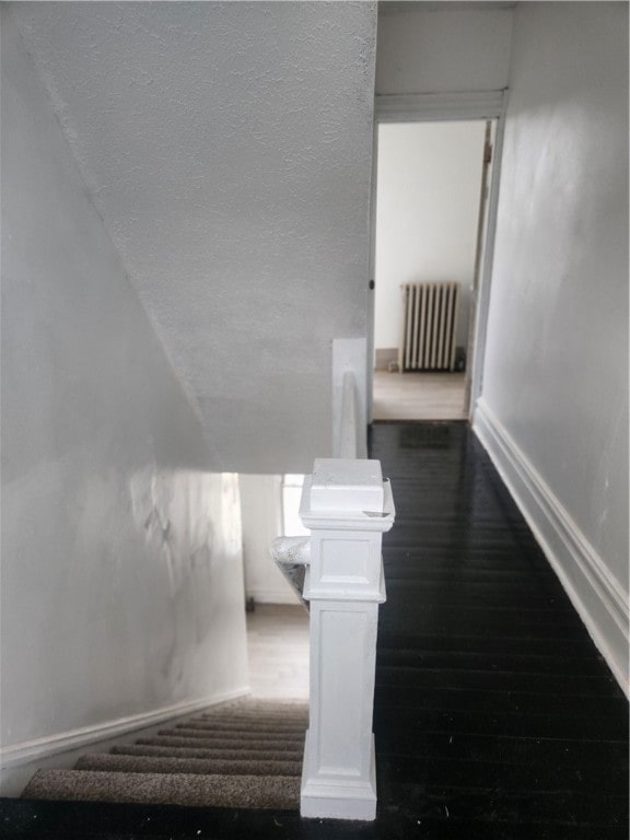 staircase featuring wood-type flooring and radiator