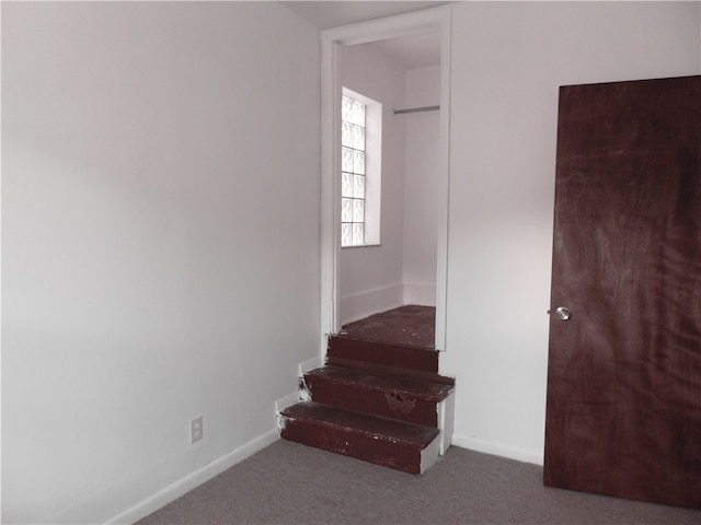 stairs with carpet flooring