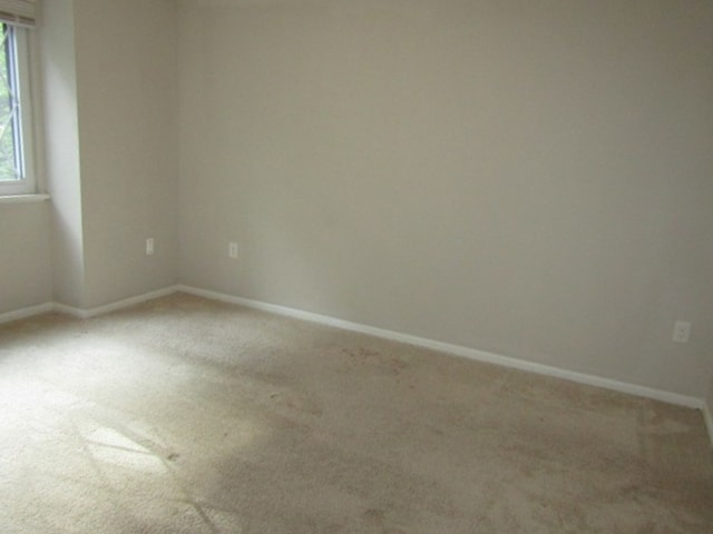 empty room featuring carpet floors