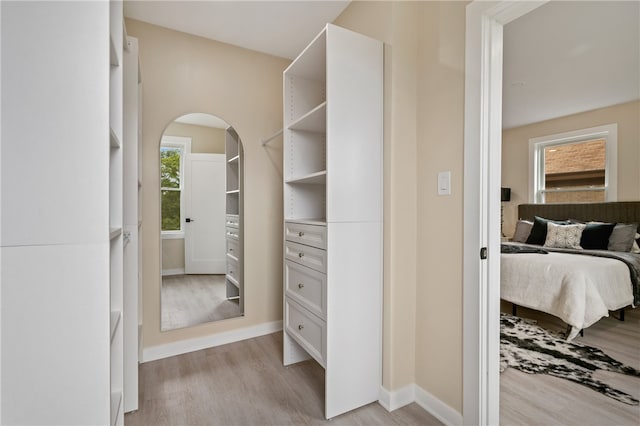 spacious closet with light wood-type flooring