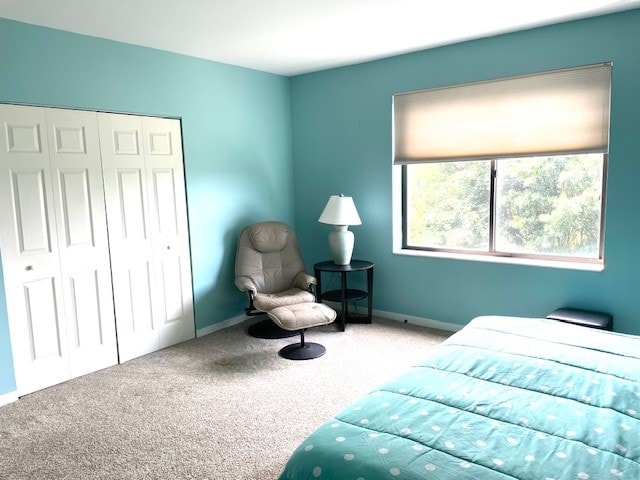 carpeted bedroom featuring a closet