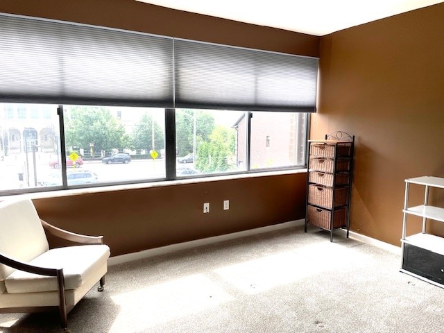 living area with plenty of natural light and carpet