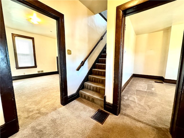 staircase with carpet