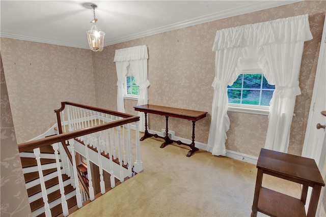 interior space with ornamental molding and carpet