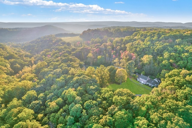 bird's eye view with a mountain view