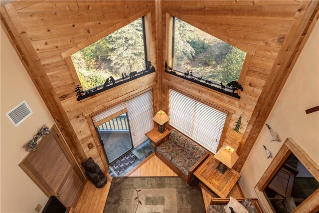 interior space featuring hardwood / wood-style floors, high vaulted ceiling, and a wealth of natural light