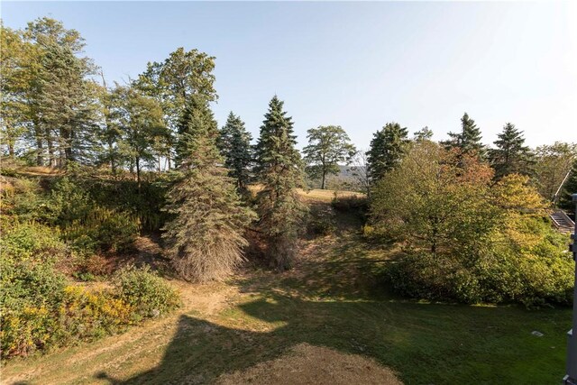 B43AB Stoneridge Dr, Seven Springs Resort, PA 15622 - view of nature