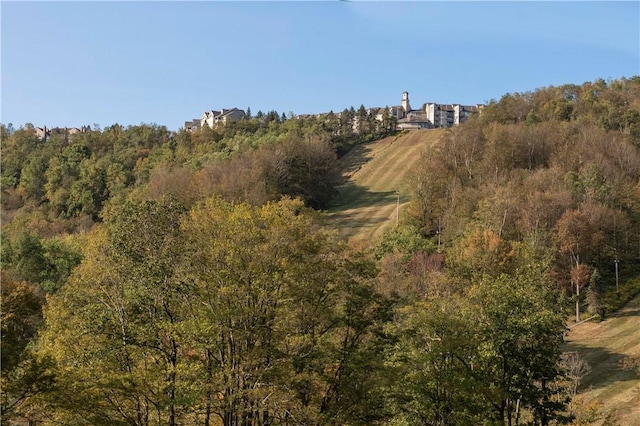 B43AB Stoneridge Dr, Seven Springs Resort, PA 15622 - view of undeveloped land