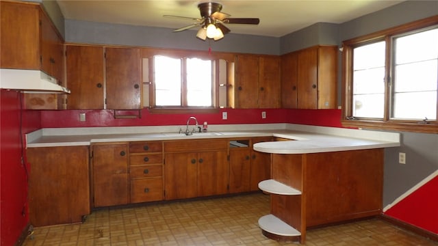 kitchen featuring a healthy amount of sunlight, ceiling fan, and sink