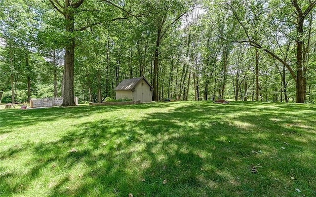 view of yard featuring a storage shed