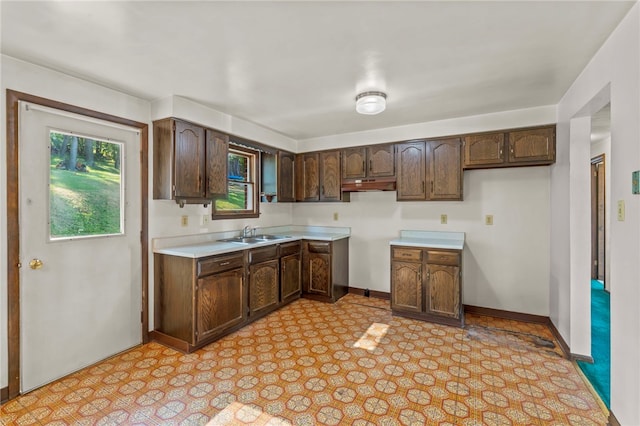 kitchen featuring sink and dark brown cabinetry