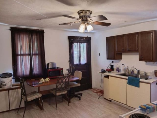 kitchen featuring light wood-type flooring, a textured ceiling, dark brown cabinets, sink, and ceiling fan