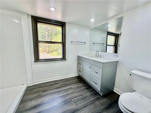 bathroom with vanity, toilet, and hardwood / wood-style flooring