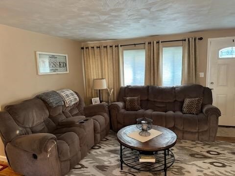 living room featuring plenty of natural light and a textured ceiling