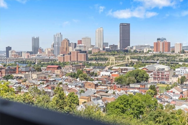 1 Pius St Unit A4, South Side, PA 15203 - property's view of city