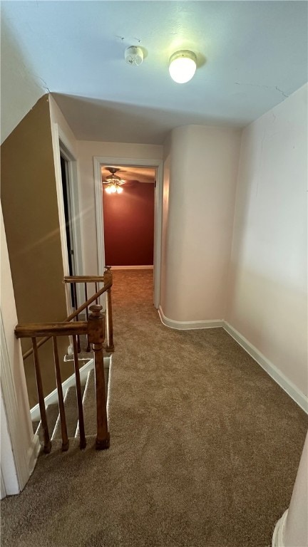 hallway with carpet floors