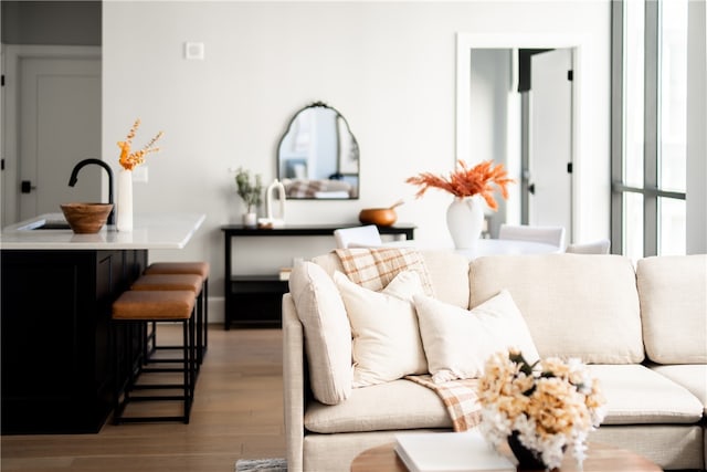 living room featuring light hardwood / wood-style floors and sink