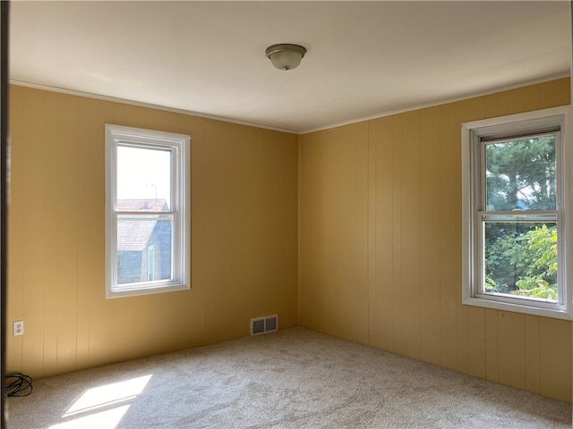 carpeted spare room with plenty of natural light