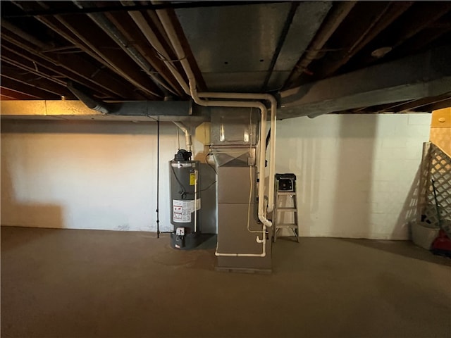 basement with water heater