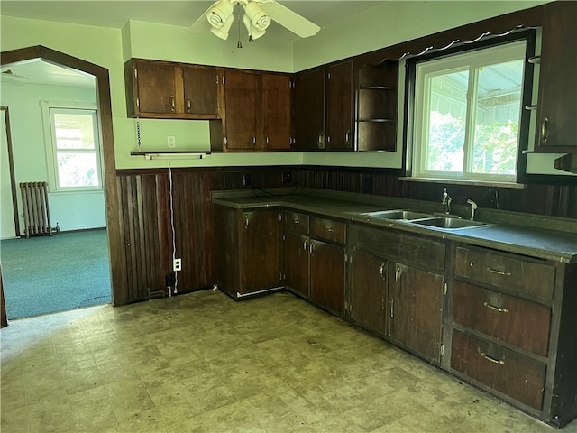 kitchen with ceiling fan, dark brown cabinets, radiator, and sink