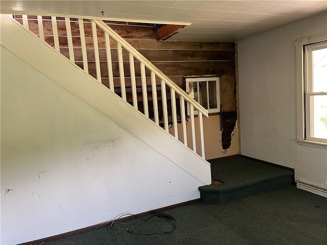 staircase featuring carpet flooring and wooden walls