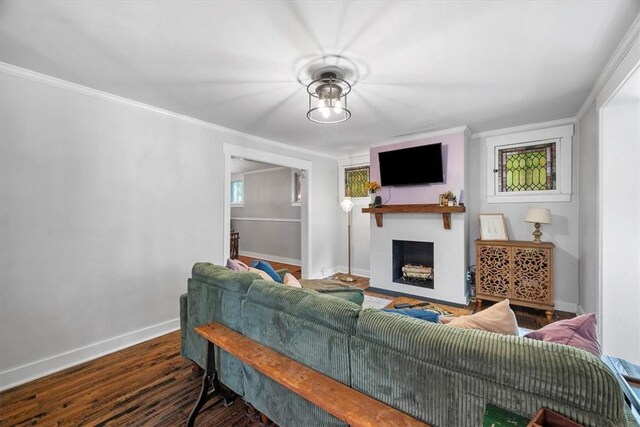 living room with crown molding and dark hardwood / wood-style floors