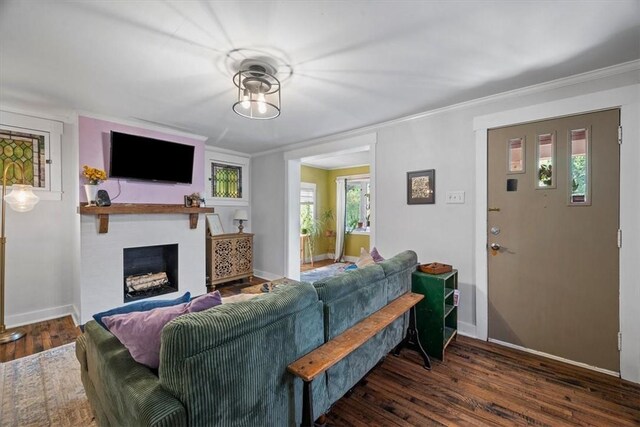 living room with crown molding, a large fireplace, and dark hardwood / wood-style flooring