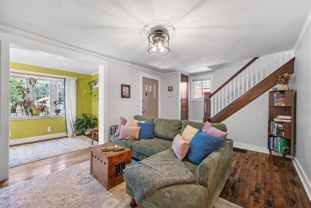 living room with ornamental molding, hardwood / wood-style flooring, and a wealth of natural light