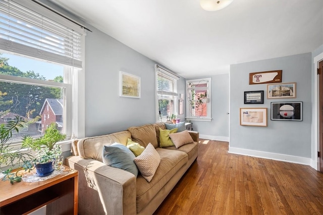 living room featuring hardwood / wood-style flooring