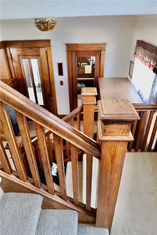 stairway featuring carpet flooring