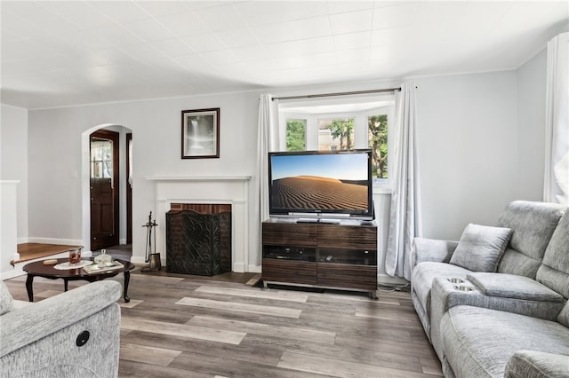 living room featuring light hardwood / wood-style floors